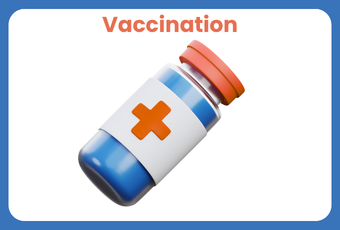 Calendrier vaccinaux