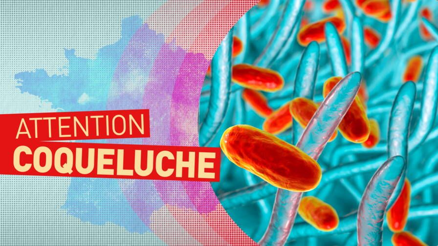 Recrudescence de la coqueluche : La Vaccination est Essentielle !
