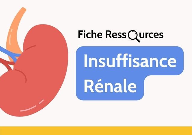 Fiche ressources - Découverte et suivi de l'insuffisance rénale