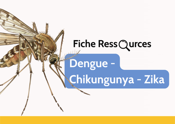 Fiche ressource - HAS - Arbovirose, Dengue - Chikungunya - Zika