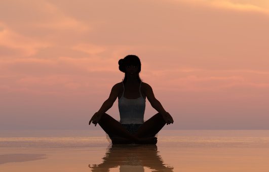 Mission 6 : Accompagner les professionnels de santé  